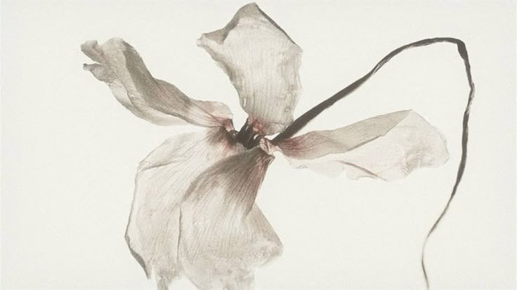 missdelicatie's tweet image. 