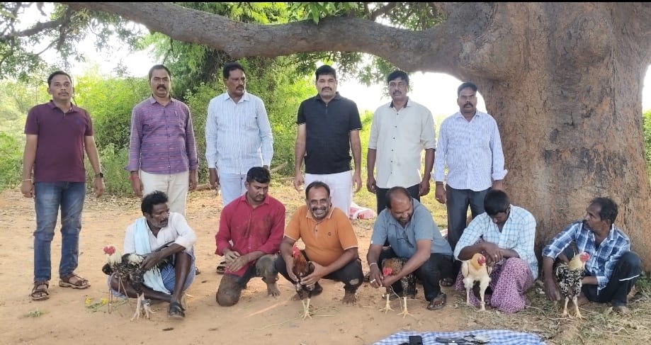 UttarandhraNow's tweet photo. ప్రకాశం జిల్లా బెస్తవారిపేట మండలం ఎంపీ చెరువు గ్రామం సమీపంలో కోడిపందాల బరిపై ఆకస్మిక దాడి నిర్వహించిన బేస్తవారిపేట ఎస్సై రవీంద్రారెడ్డి మరియు సిబ్బంది.
4 ద్విచక్ర వాహనాలు 6 పందెపు కోళ్ళు , 6 మంది పందెం రాయుళ్ళు, 8100 ₹నగదు స్వాధీనం చేసుకున్న పోలీసులు.
#Cockfights #Prakasham #Bestavaripeta #AndhraPradesh #UANow