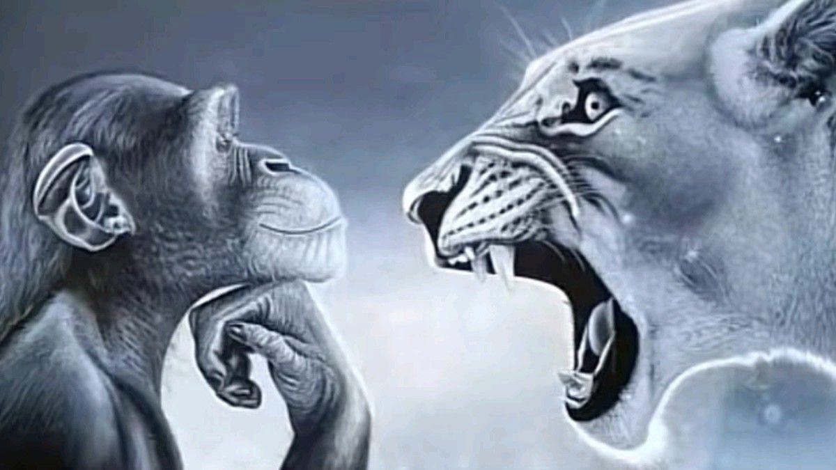 neykirii's tweet image. merry christmas everynavi