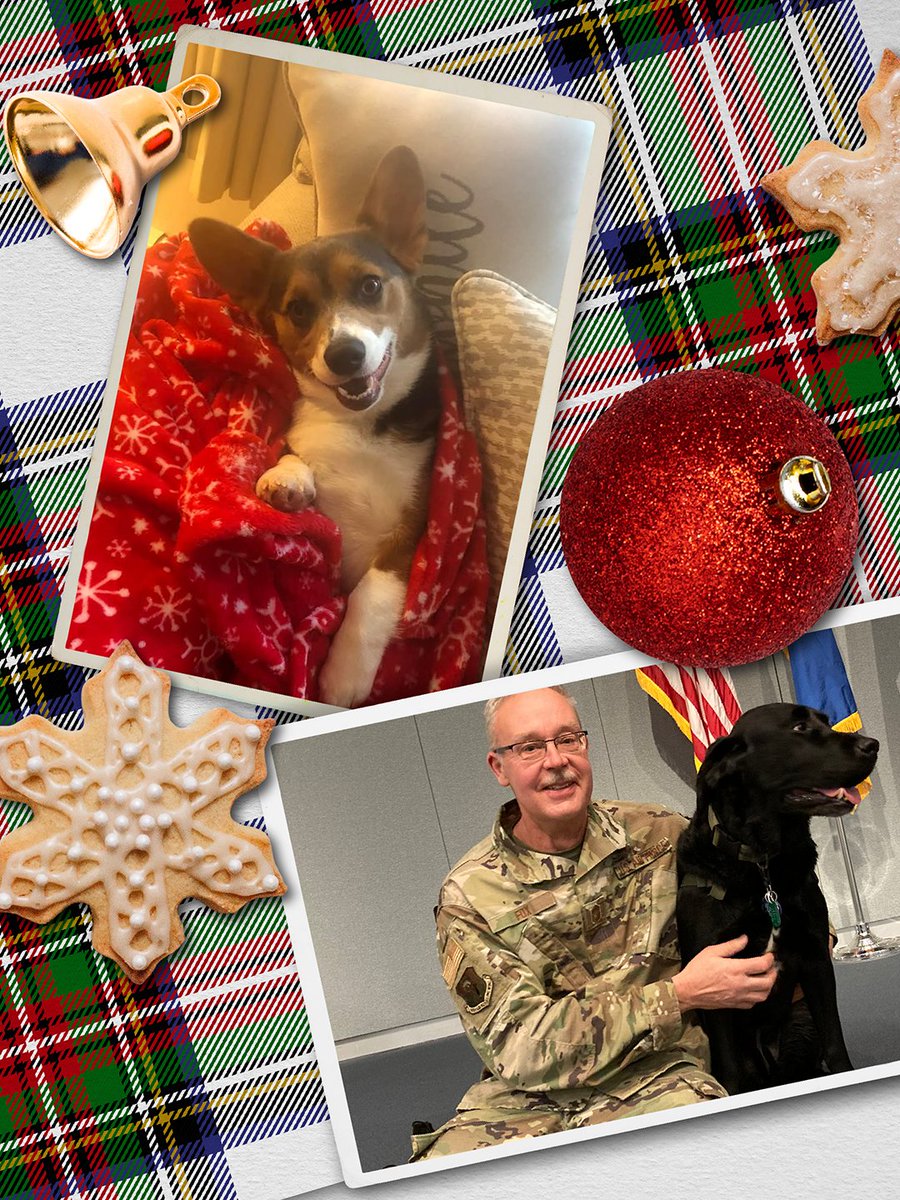 Wrap the season with print from the Monadnock Paper Mills family that feels special: Astrolite PC 100® Digital+ (100% PCW) for greeting cards + holiday covers—bright, beautiful, HP Indigo-ready >> bit.ly/3p4w59J 

#AstrolitePC100 #Astrolite