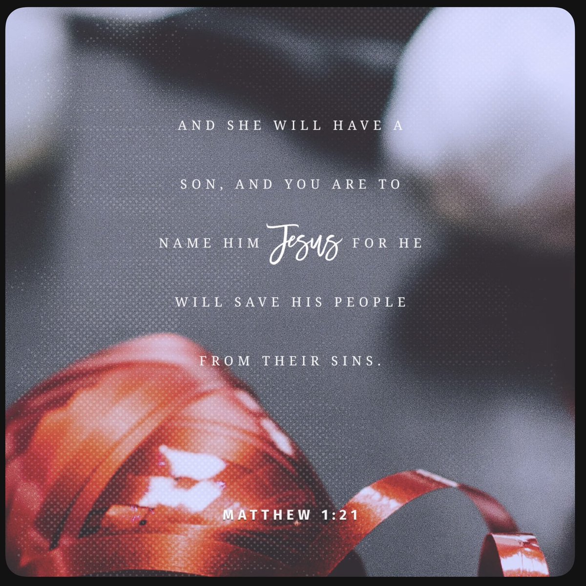birdsbard's tweet photo. Joy to the world, the Lord is come! 
Merry Christmas! https://t.co/kLHt0xzFzT