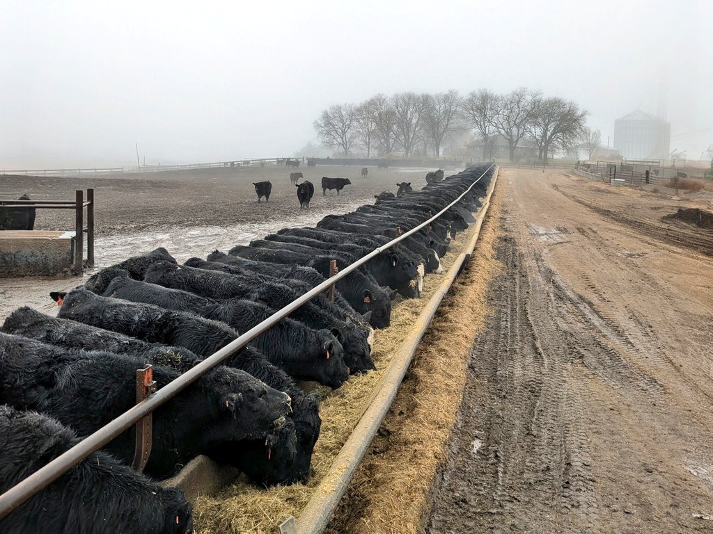 Joe Knobbe tweet media