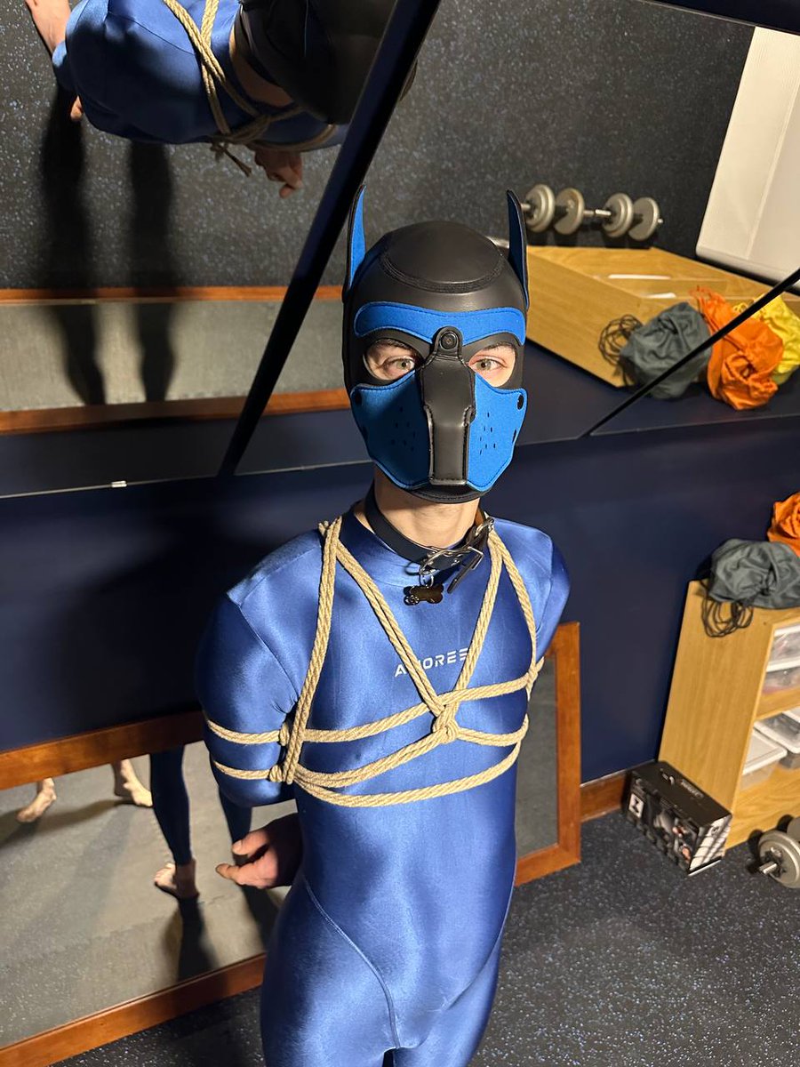 PupHush1's tweet photo. Hogtied by @Kambani20 on Tuesday.

This was a different hogtie feom what I understand. Legs more folded, arms tied differently. Less laying on the ground and more trying to pull the body upward

Was very fun and definitely very effective. https://t.co/IChxMaMNdD