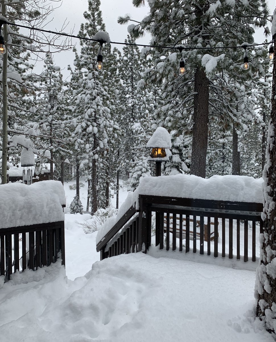 Dutchjorvik tweet media