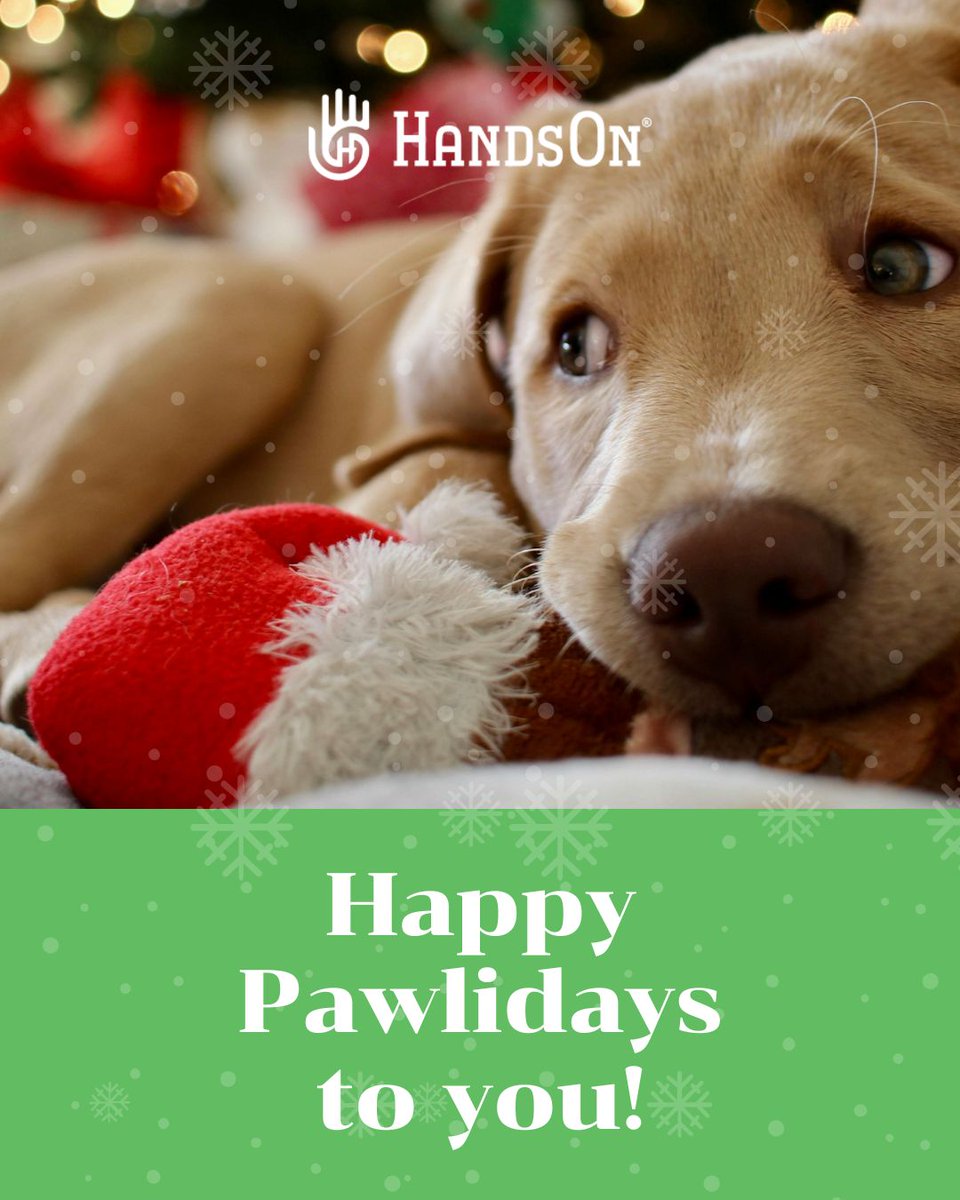 Happy Pawlidays from HandsOn Gloves! 🎄🐶🐱 We're here to wish you a cozy season of full bowls, fun moments with your furry friends, and homes filled with love, cheer, and a little less fur thanks to HandsOn Gloves.

#HappyHolidays #HappyPawlidays #HandsOnGloves