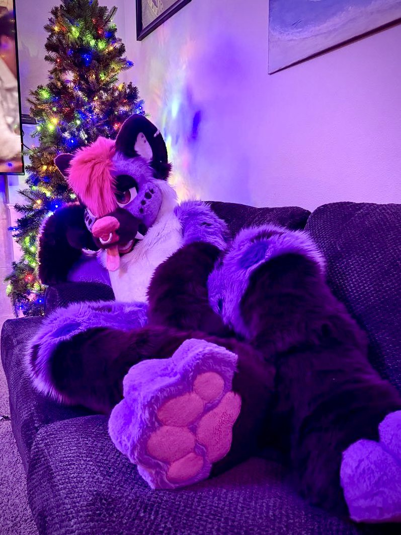 BraeBrae💜🔜 LVFC tweet media