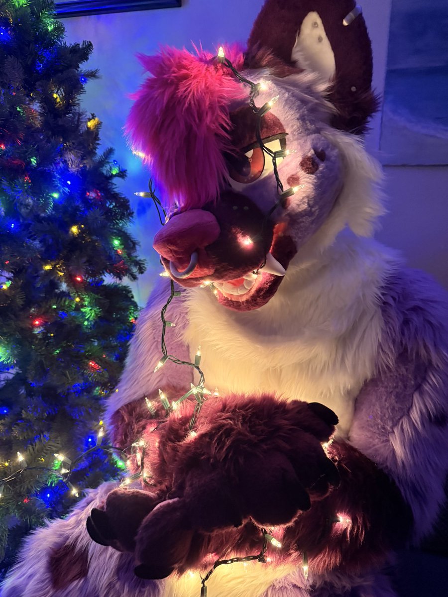 BraeBrae💜🔜 LVFC tweet media