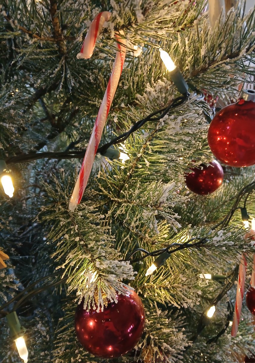 Mark Voth tweet media