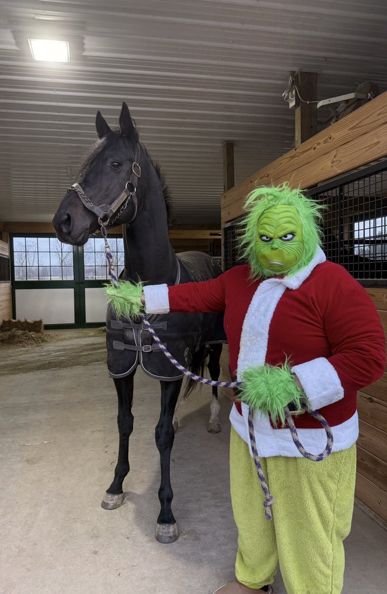EnticedPA's tweet photo. Merry Christmas from Enticed and the Grinch! Give your mare an Enticing gift for 2026 @PA_PHBA @PaStallions @PennHorseRacing https://t.co/PTn12JkKil
