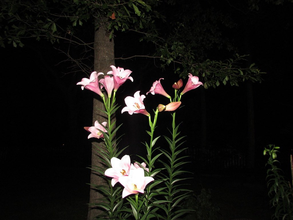 inreuo's tweet image. 