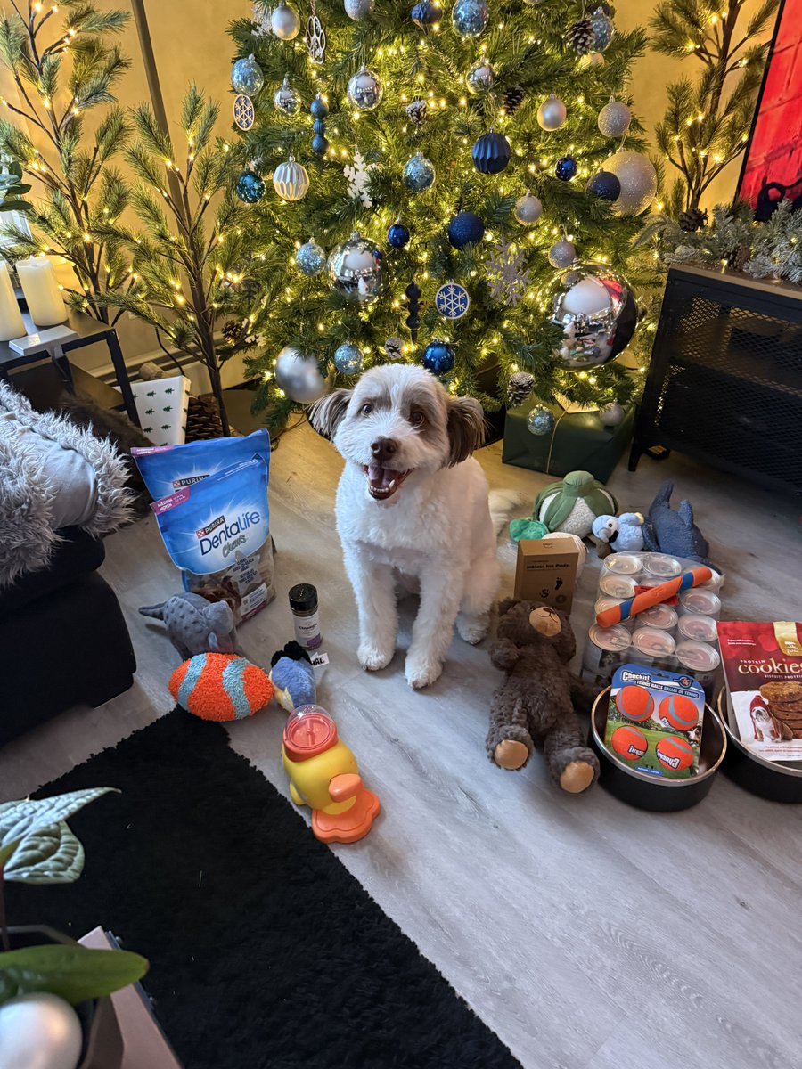 Talin / Jamn tweet media