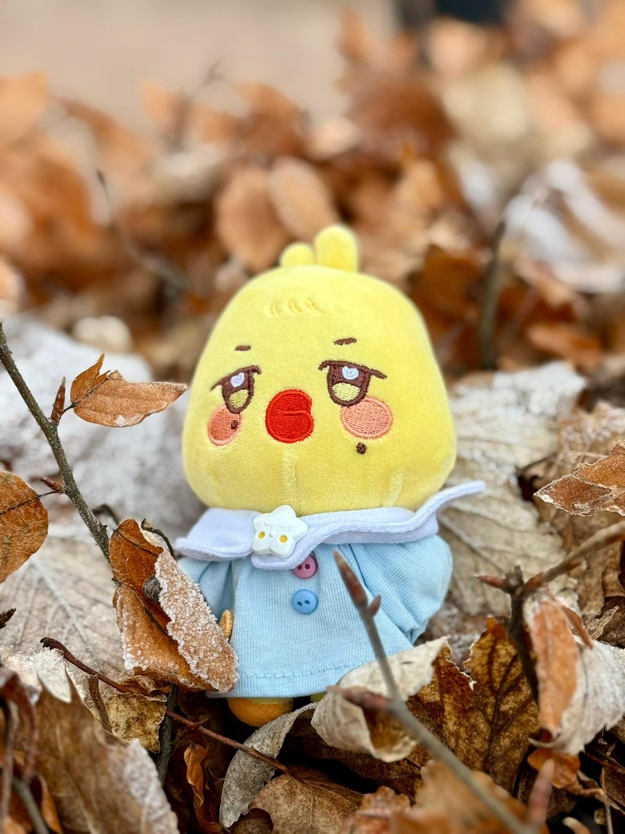 mingimangimong's tweet photo. #BBOTD
my mom snatched bbyongming out of my hands and placed him on a pile of leaves for a photoshoot ????????? https://t.co/uEPQx8BfN5