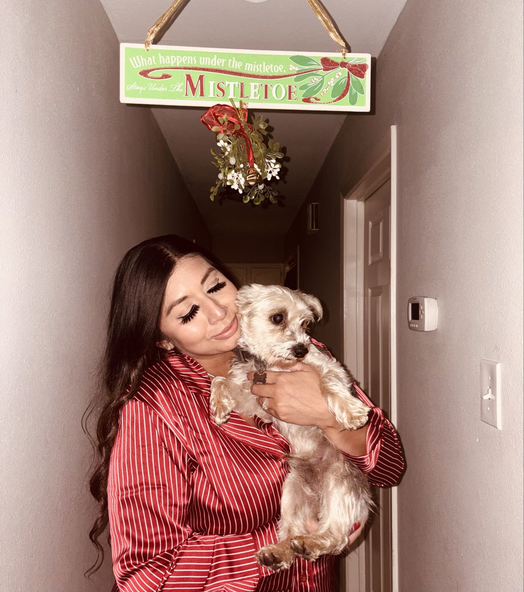 lamaslinda3369's tweet image. Merry Christmas from Chuy and I!❤️🫶🏻🎅🏻🎄 #yorkiepoo #Chuy #DogsofTwittter #dogsofX #Mistletoe