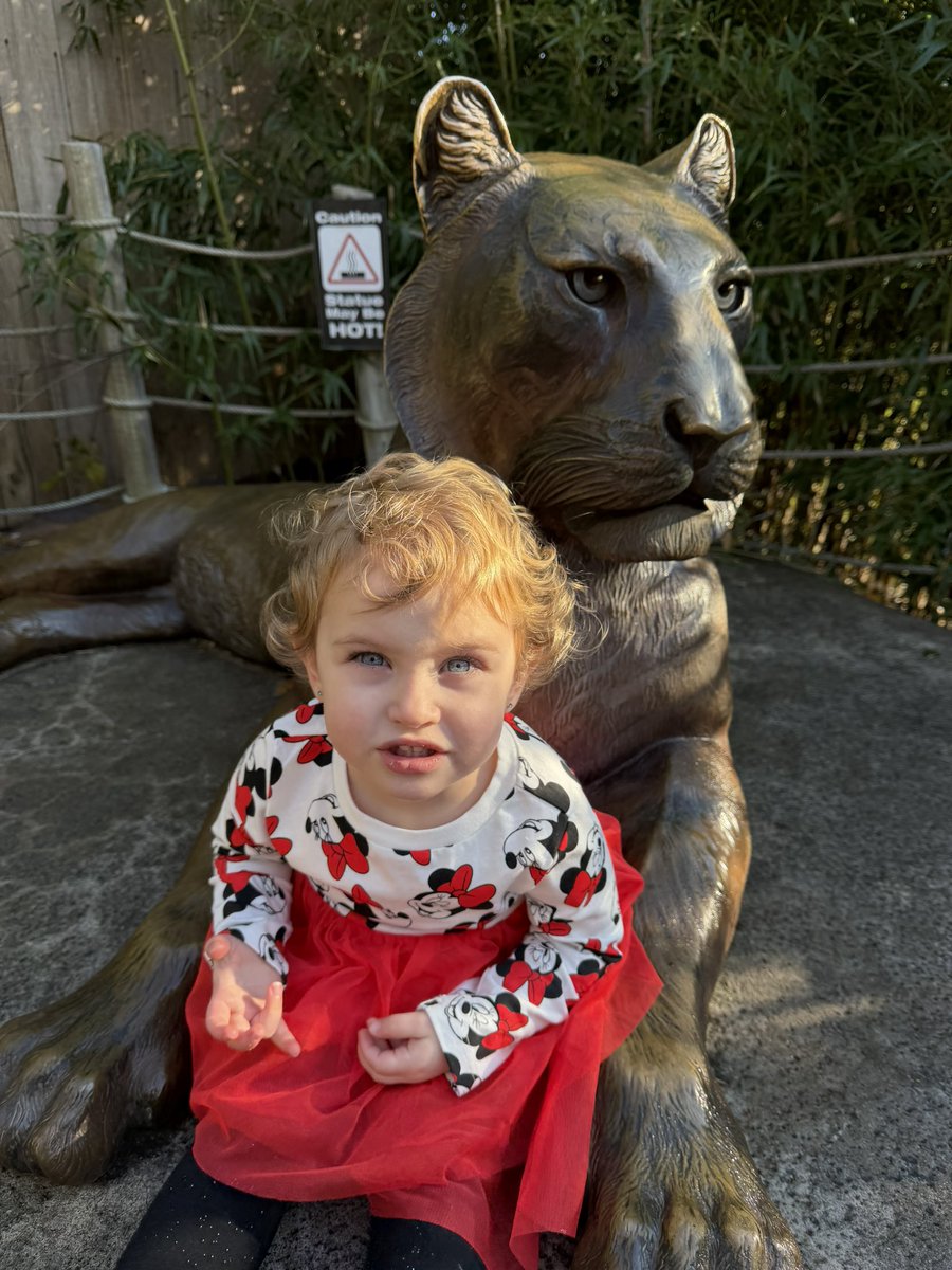 Never would have thought I’d be at the zoo on Christmas Day. 🦒🦍 but it’s too beautiful outside to pass up