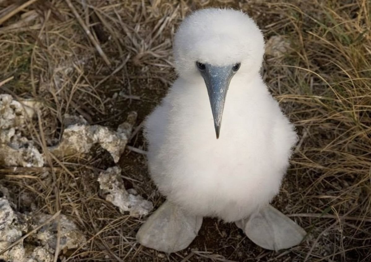 goobygirl2's tweet image. 