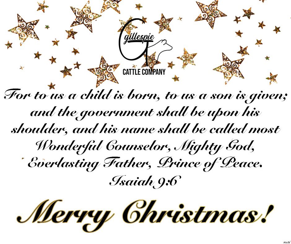 gillespiecattle's tweet photo. Merry Christmas to you and yours from Gillespie Cattle Company! 🌟✝️ https://t.co/evRqxrg4iP