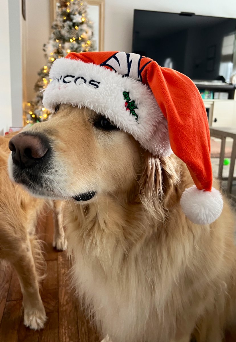 Chris Currie tweet media