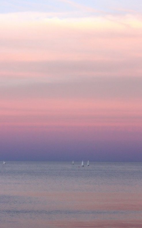 2000Bas's tweet image. ちょっとだるい日。甘いもの補給したいしよかな ✨ 🦢