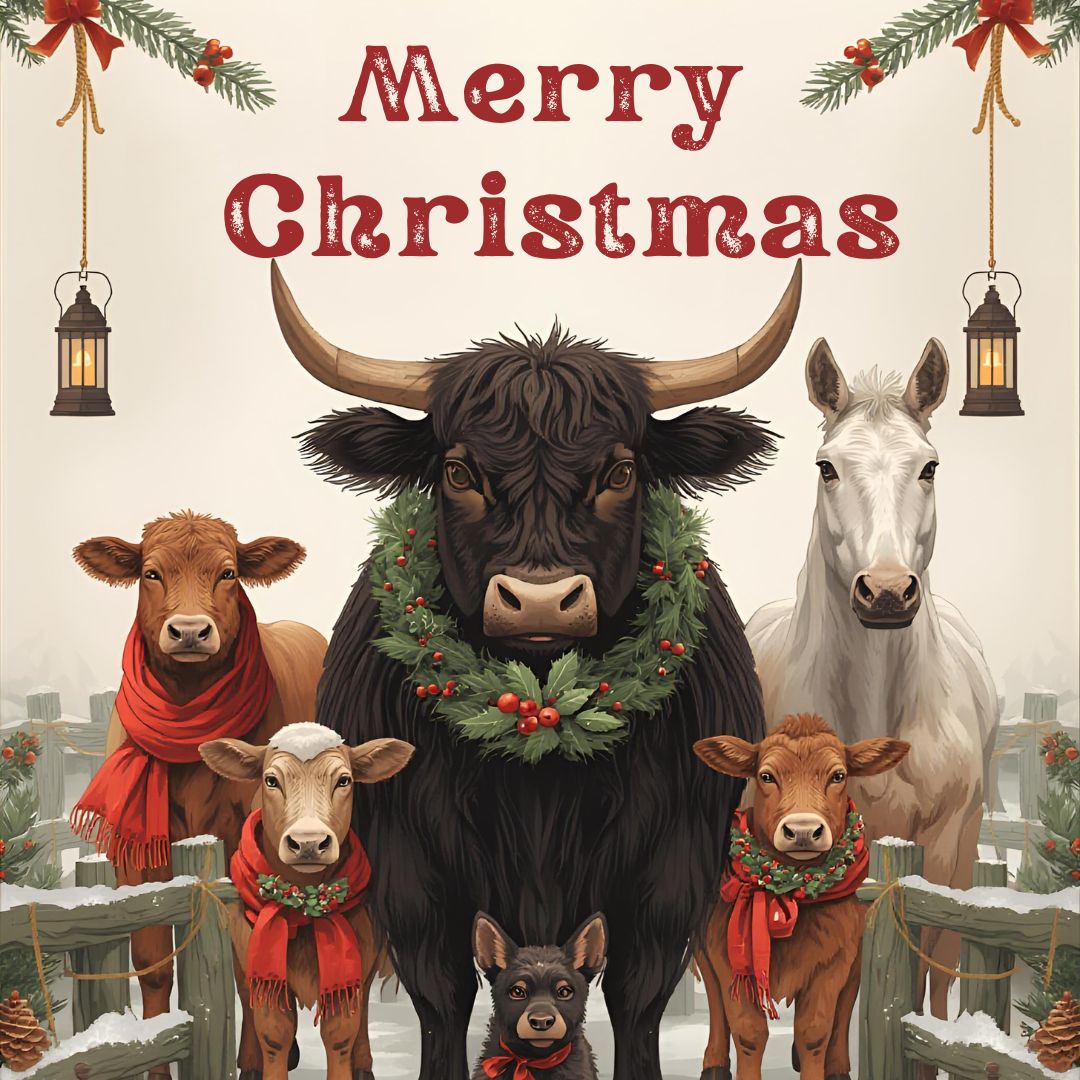 Lia Meadows tweet media