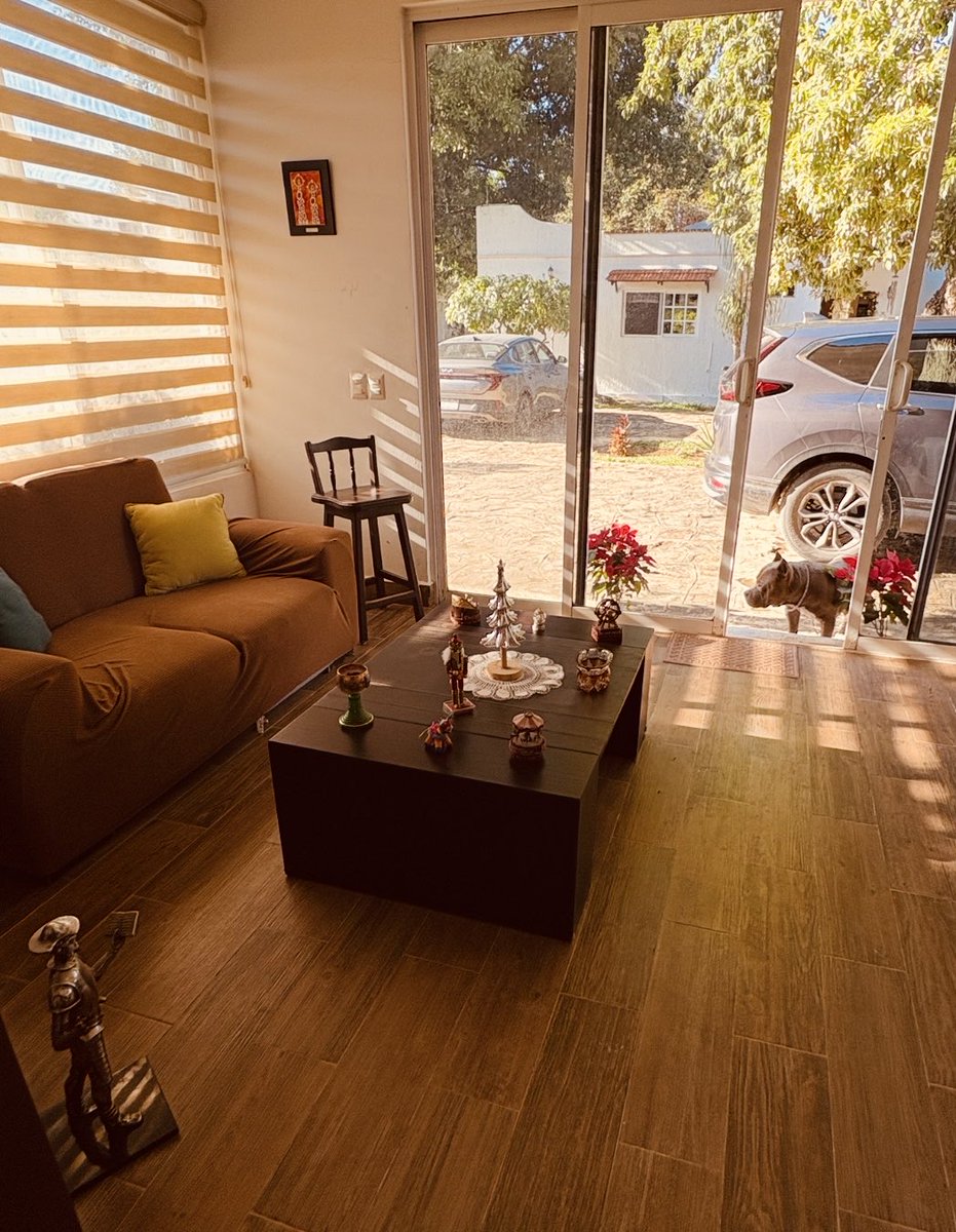 F.Ortega B.Mex. tweet media