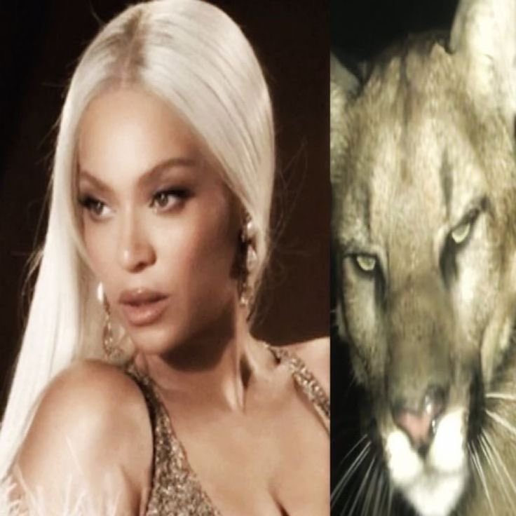 Jonathzn's tweet image. 