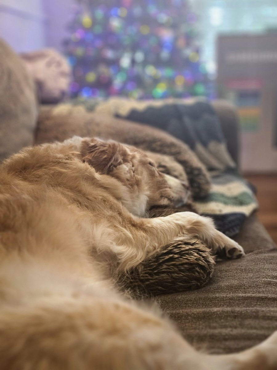 DustinC77's tweet image. Merry Christmas!