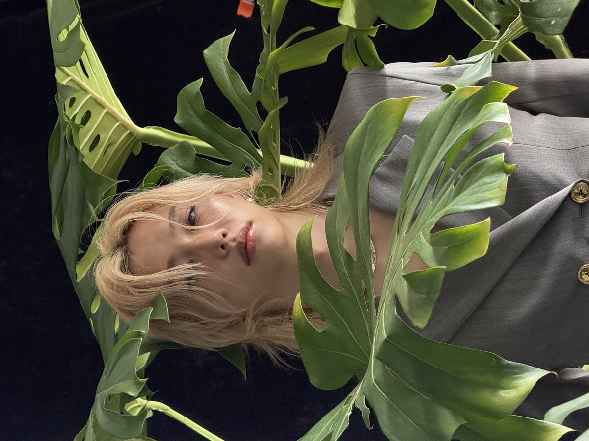 ⠀　　  　　⠀⠀⠀⠀　　　˖ ☘︎  ᭄᭡ ݊   ׂ   ׅ  ⊹