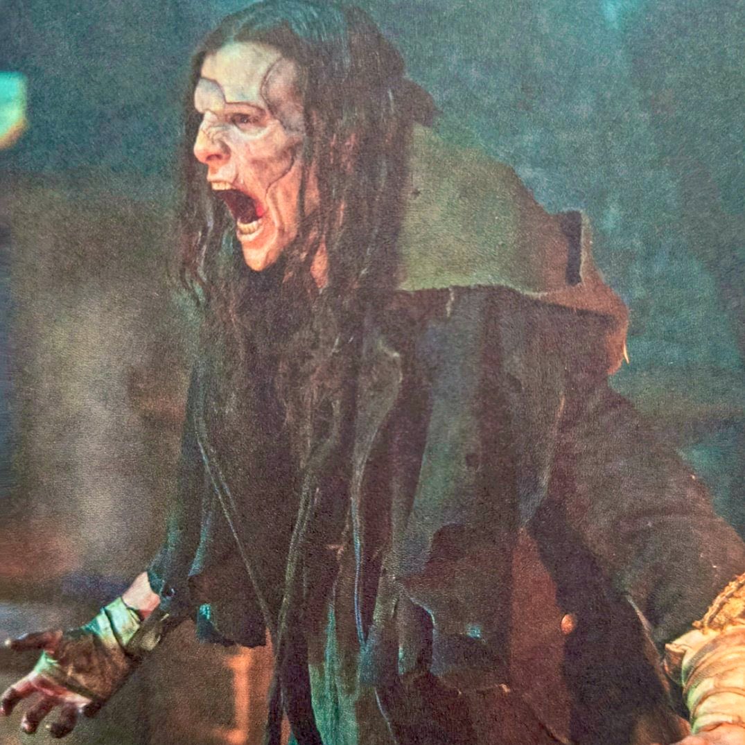 hello I’m a wildlife photographer and I just took This photo