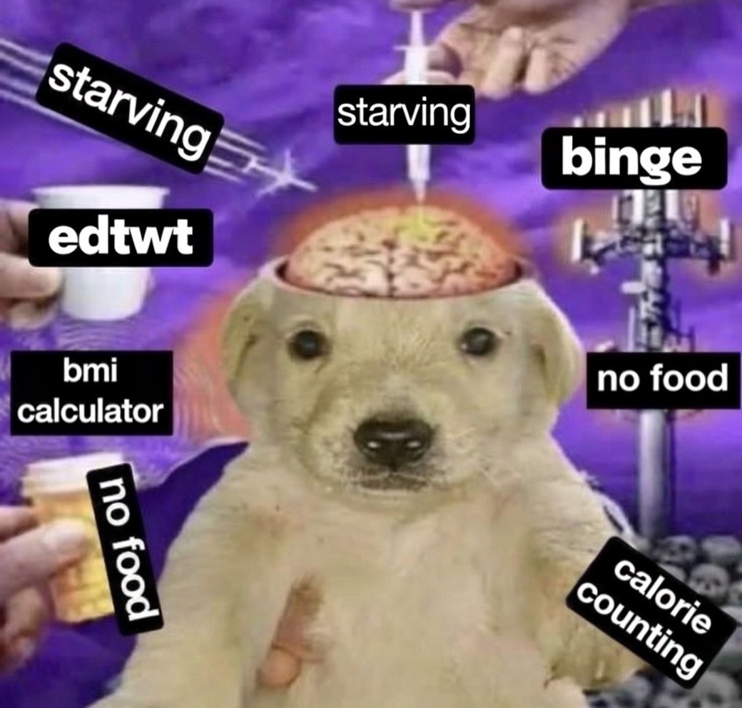 kitowinback's tweet image. 