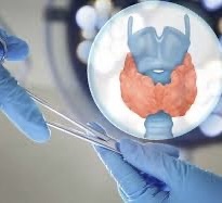 ENT Masterclass tweet media