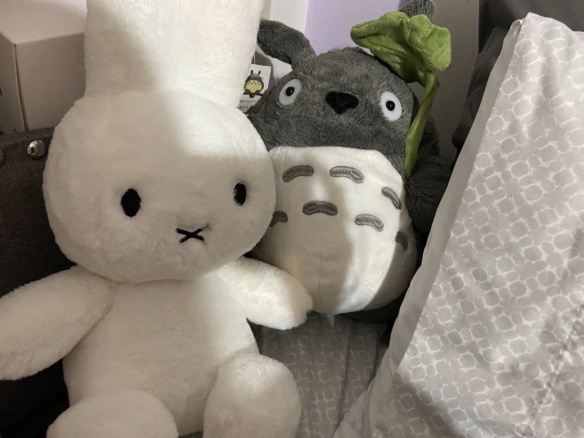 uminunii's tweet image. hi you guys !! it’s umi, i’m new to #studytwt so i figured i’d make an intro to make friends !! &amp;lt;3

— 06 | istj | she/her
— pharm bs 
— le sserafim, kiof, twice, bts, enha
— aot, fmab, fruba, kamisama kiss
— enjoys: reading, working out, going to cafes 

♡ / ↻ to be moots !!