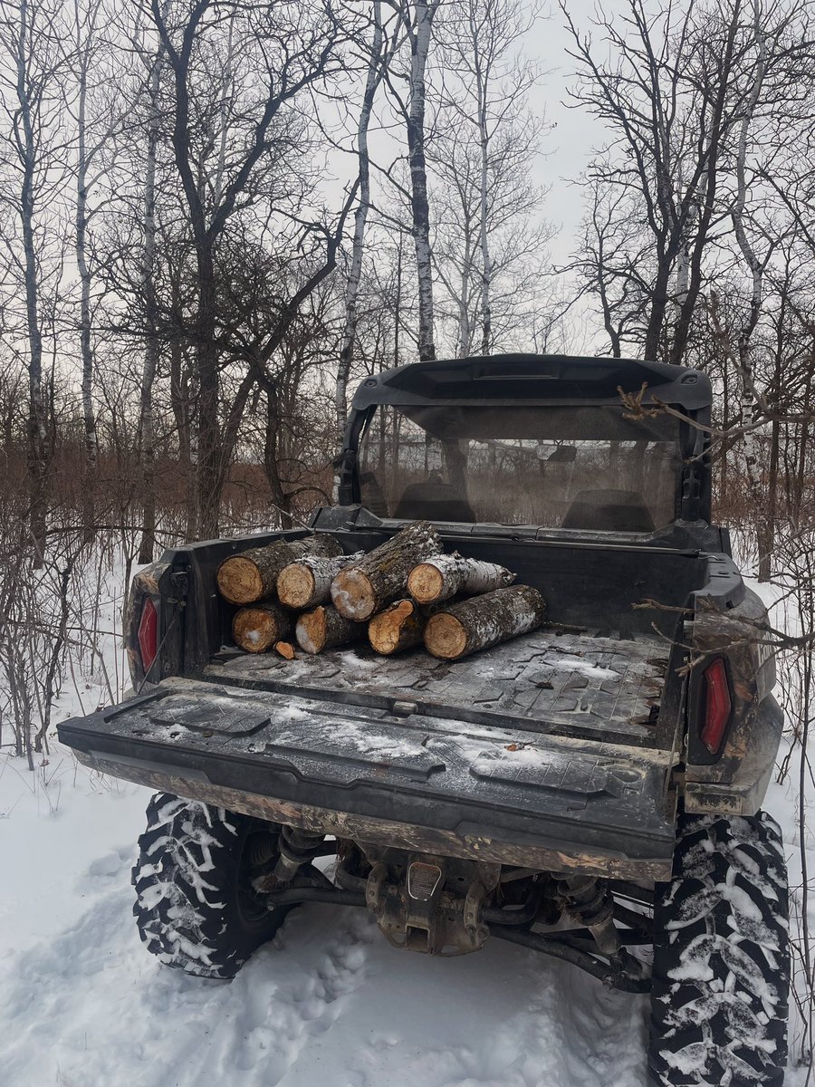 ᥫ᭡ lex tweet media