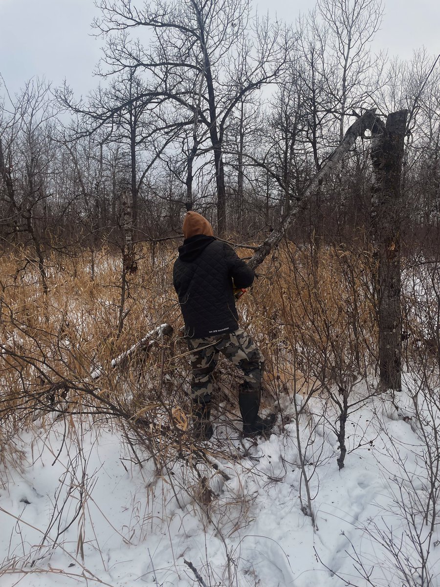 ᥫ᭡ lex tweet media