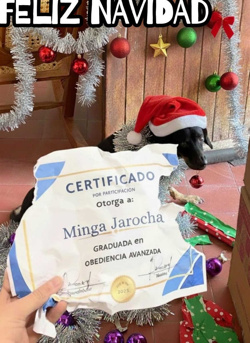 #FelizNavidad 🎄🎅