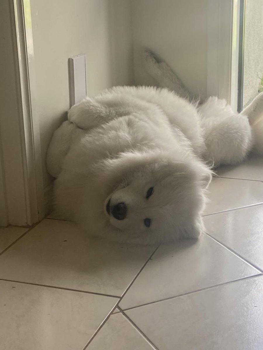 Merry Xmas to all you celebrants out there from Boris: