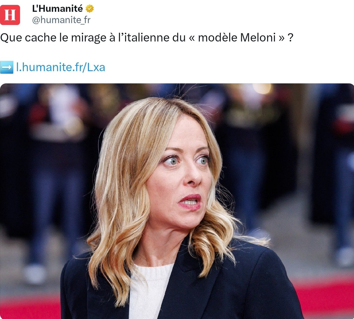 Bob 🐢 tweet media