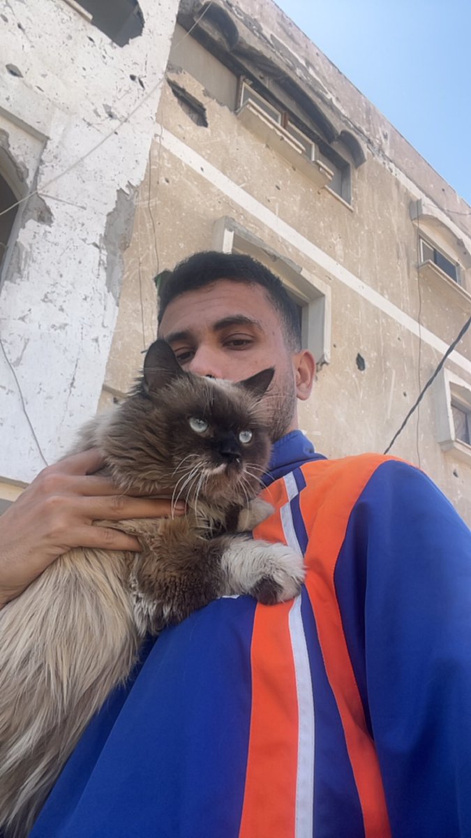 Mo7mmd30's tweet photo. This is my Leo.
I didn’t lose him to an accident,
nor to illness.
I lost him because hunger was stronger than me.
In Gaza, love is not enough to save the ones you love.

After he left,
he sent me a cat,
and she gave birth to two kittens.
As if he were telling me:
I am with you,
and I will always stay by your side.