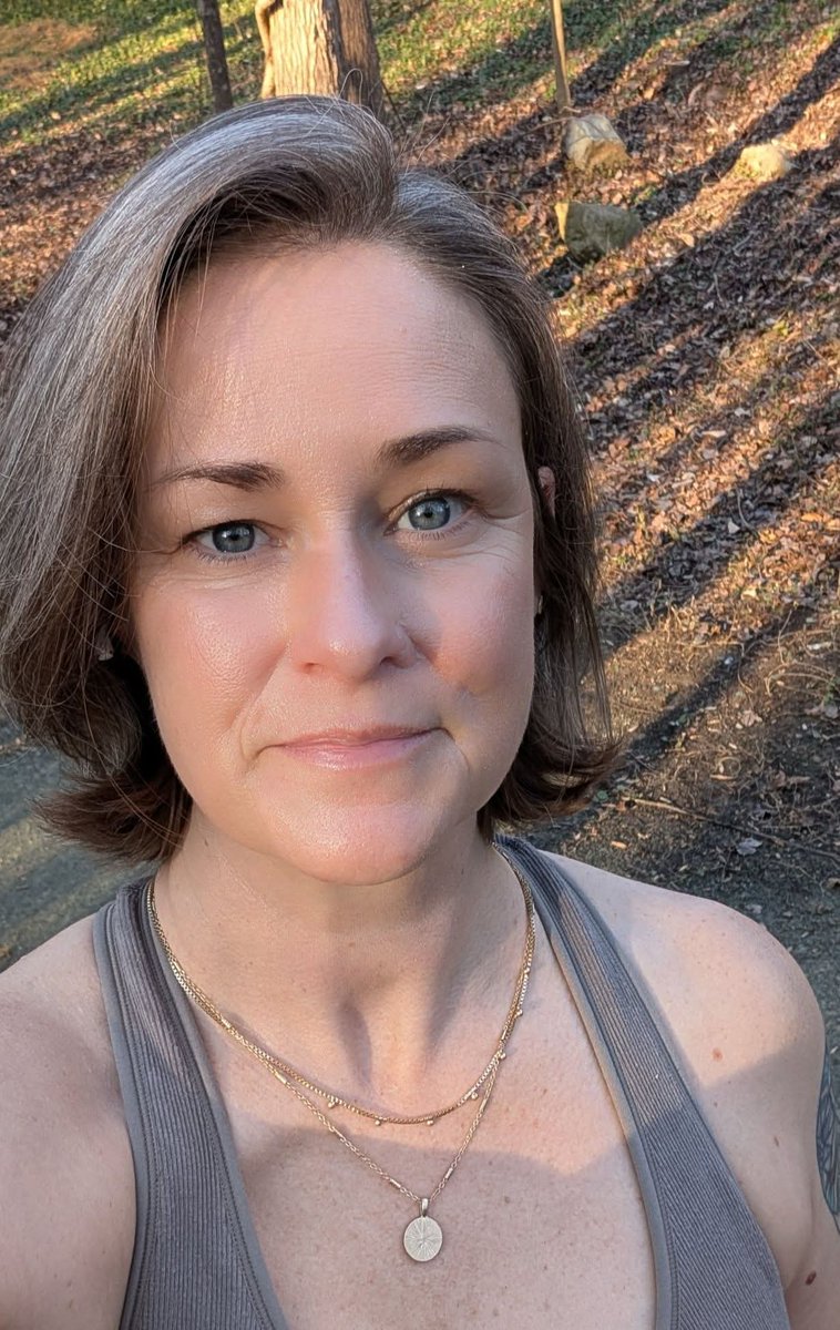 The Forgotten South tweet media