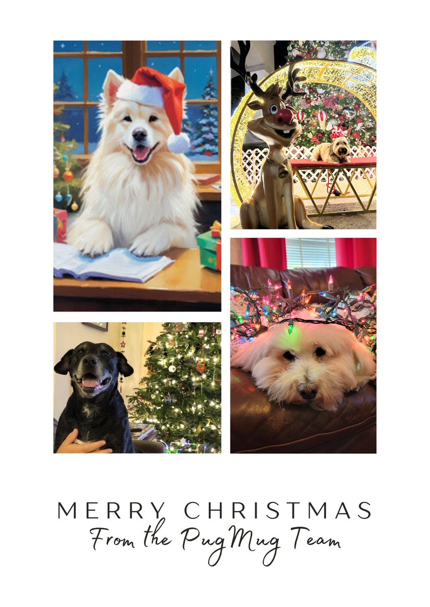 pugmugai's tweet photo. Merry Christmas from the PugMug team! Thank you to our users who sent in their pets' holiday photos. 

We hope everyone has a joyful holiday with their family, and that Santa Paws brought something extra special to your furry friends this year. 🎅🐾

#pugmugai #christmaspets #christmas2025