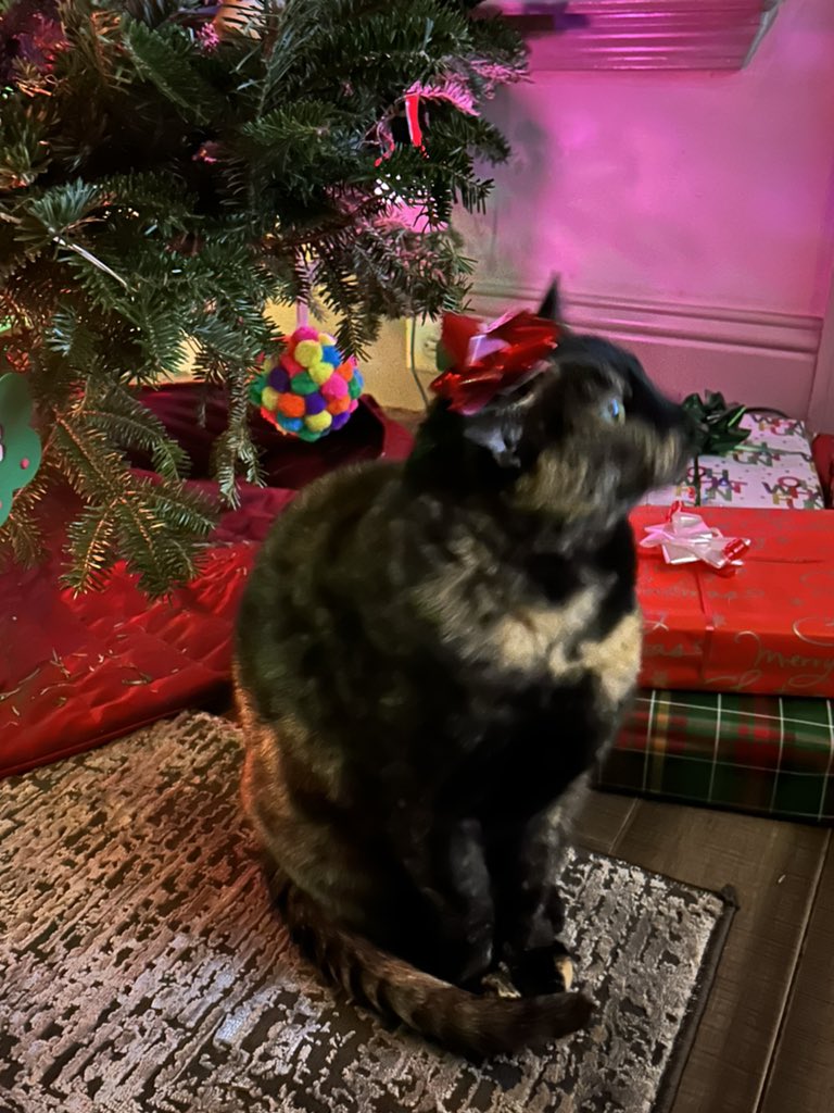 patchie pie 🥧 tweet media