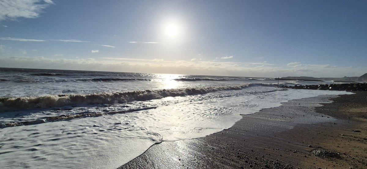 Ozymandiasdust's tweet image. The closing of the day. Thank you all for sharing it with me...🌲❤️🌲 #ChristmasDay