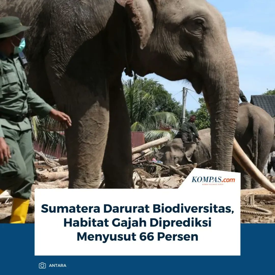 ARSIPAJA's tweet image. 