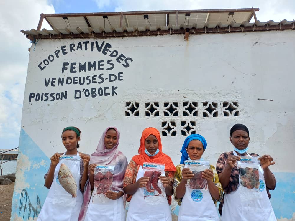 AbdoulkadirMoh2's tweet photo. Clap de fin des formations pratiques du projet #PROBLUE sur la transformation du poisson, organisées à Djibouti-ville puis à Obock au profit des femmes mareyeuses.
Objectif : améliorer la qualité des produits et augmenter les revenus au niveau communautaire.
#DJIBOUTI
#OBOCK https://t.co/XBdLzQp19C