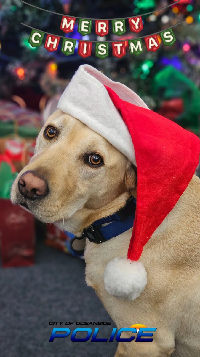 Oceanside Police tweet media