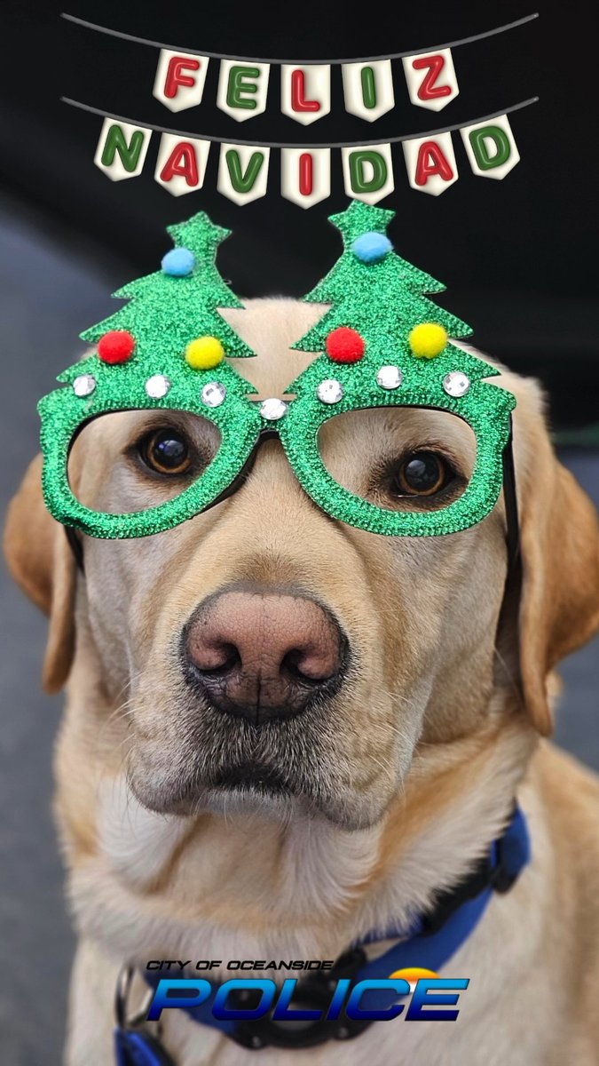 Oceanside Police tweet media