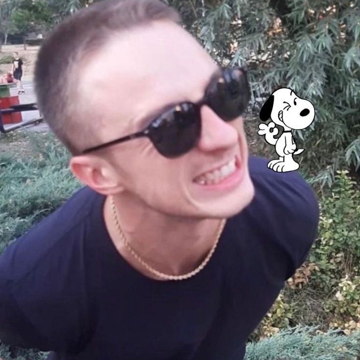 bordel do starkey tweet media