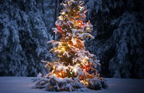 Coach Mac tweet media