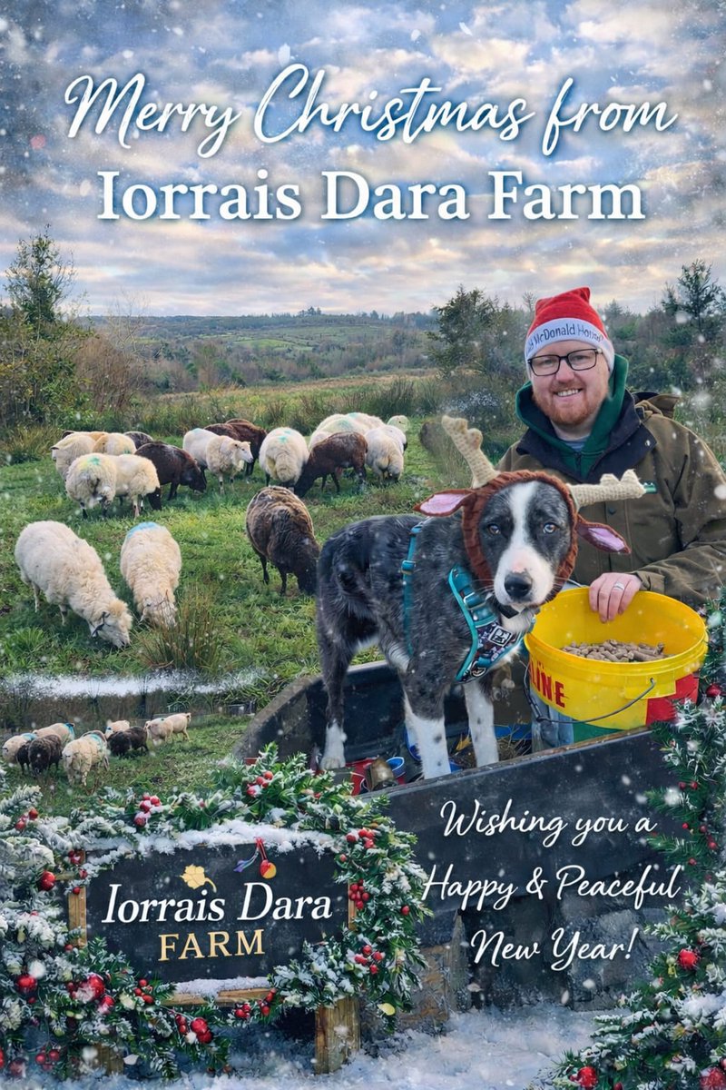 Kevin Hogan (@KevHog88_22) / Posts / X, image size:800x1200