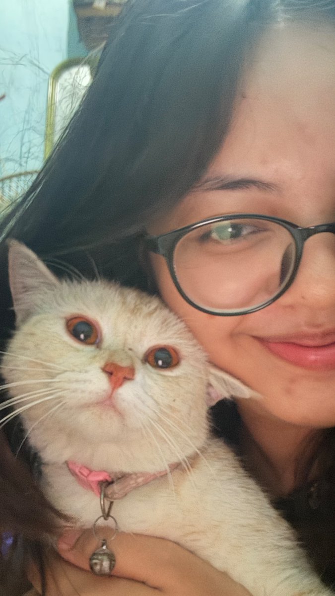 bubblyawww's tweet photo. Yang tenang yaa sayangku, kamu udah ga sakit lagiii kan sekarang? Nanti cari mama gemoy yaa? Aku gatau mama gemoy ada dimana soalnyaa, cari lolly sama bucek jugaa ya? Nanti ketemu sama anak mamah yang lain, ada snowy, chloe sama yg lainnya yaaa? https://t.co/MfcJDPXd7U