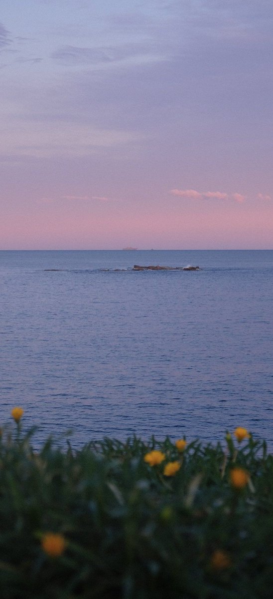 1979Mon's tweet image. やる気でない😪。買い物行こ〜🛍️しよかな ☕ 😥